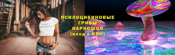 Альфа ПВП Белокуриха