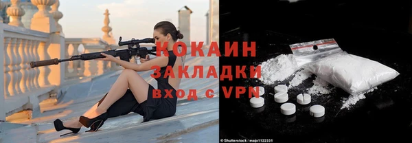 PSILOCYBIN Горняк