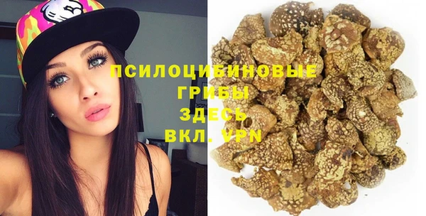 Альфа ПВП Белокуриха