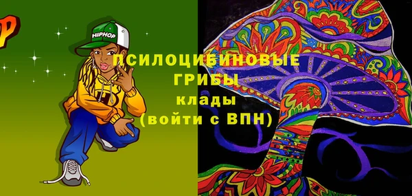 ПСИЛОЦИБИНОВЫЕ ГРИБЫ Карталы