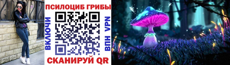 закладки Балашов mega онион Галлюциногенные грибы Cubensis